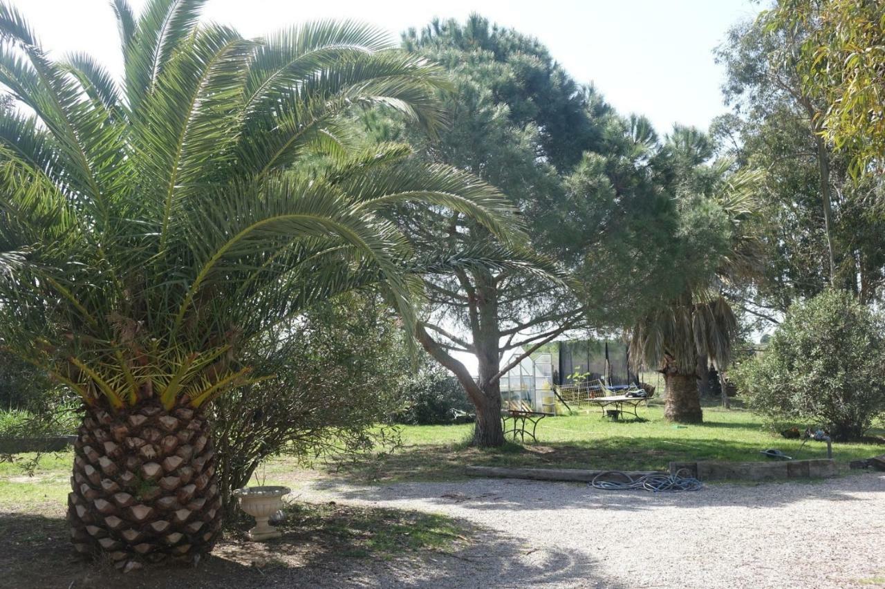 Mas Du Roc Vakantiehuis Saint-Nazaire (Pyrenees-Orientales)